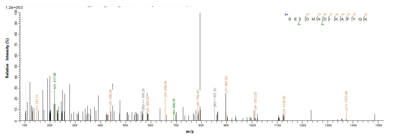 Recombinant Human Annexin A1(ANX1),partial
