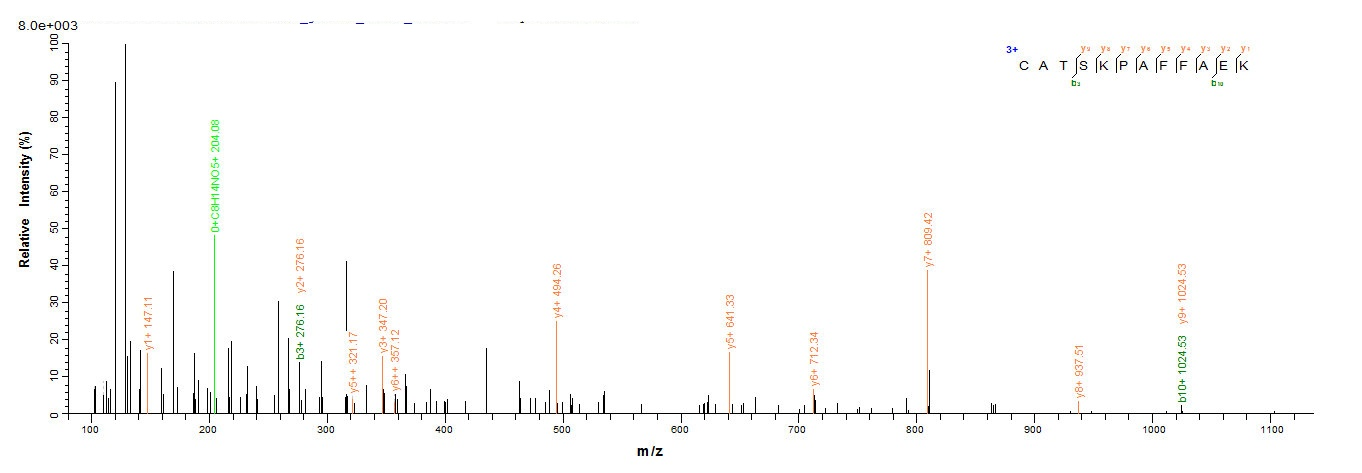 Recombinant Human Annexin A1(ANX1),partial