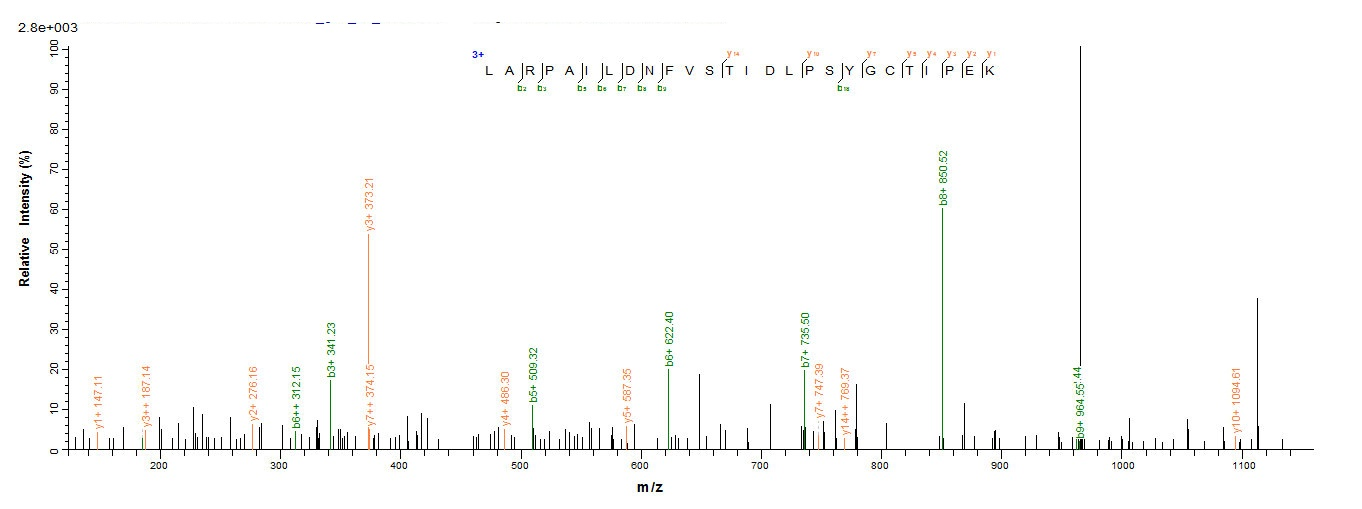 Recombinant Rat Hepatocyte growth factor (Hgf), partial