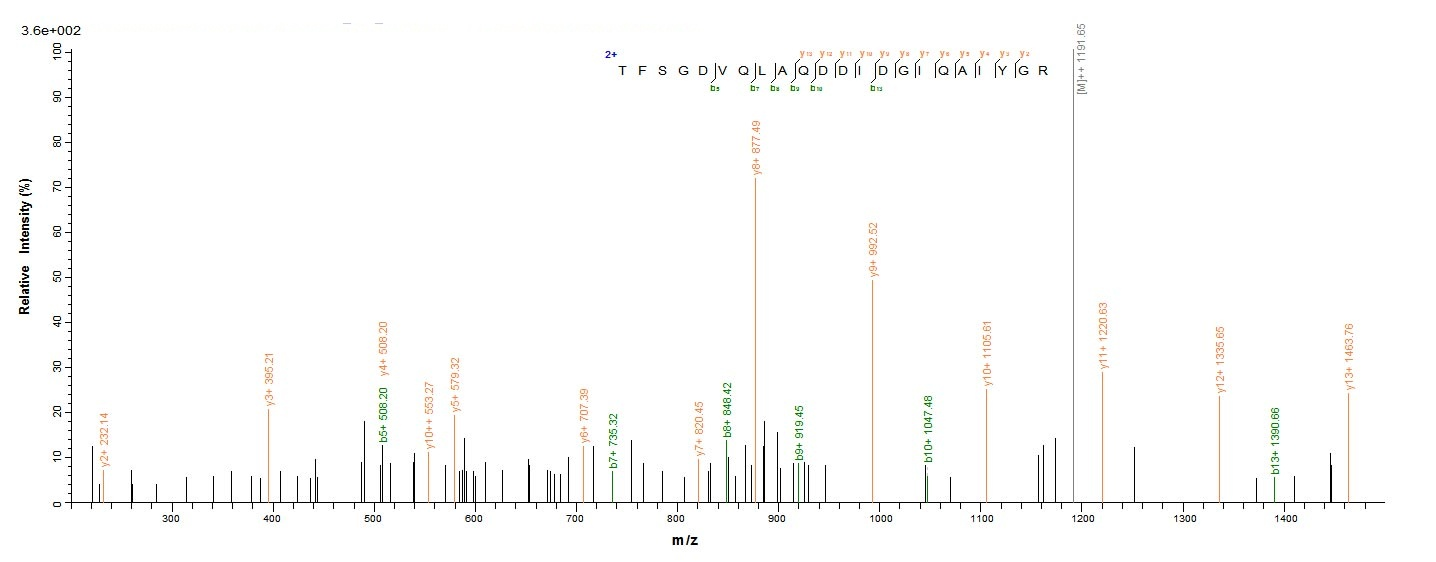 Recombinant Human Interstitial collagenase (MMP1), partial