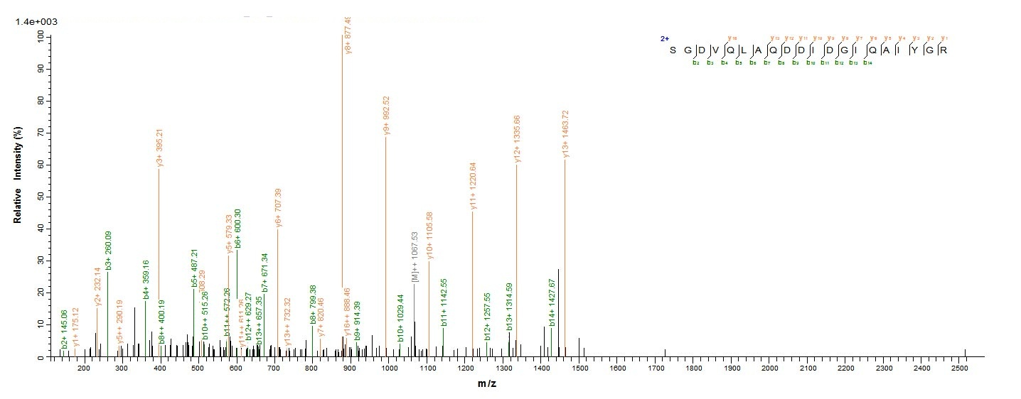 Recombinant Human Interstitial collagenase (MMP1), partial