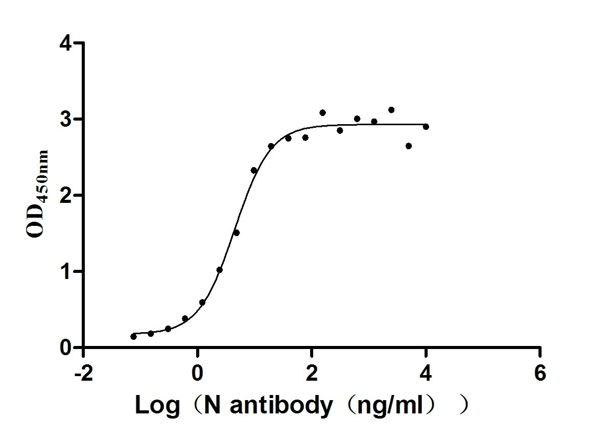 Recombinant Human Novel Coronavirus Nucleoprotein(N)(D63G,R203M,D377Y) (Active)