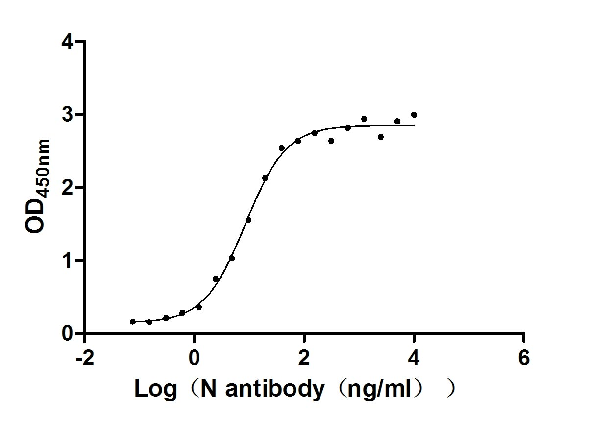 Recombinant Human Novel Coronavirus Nucleoprotein(N)(D103Y) (Active)