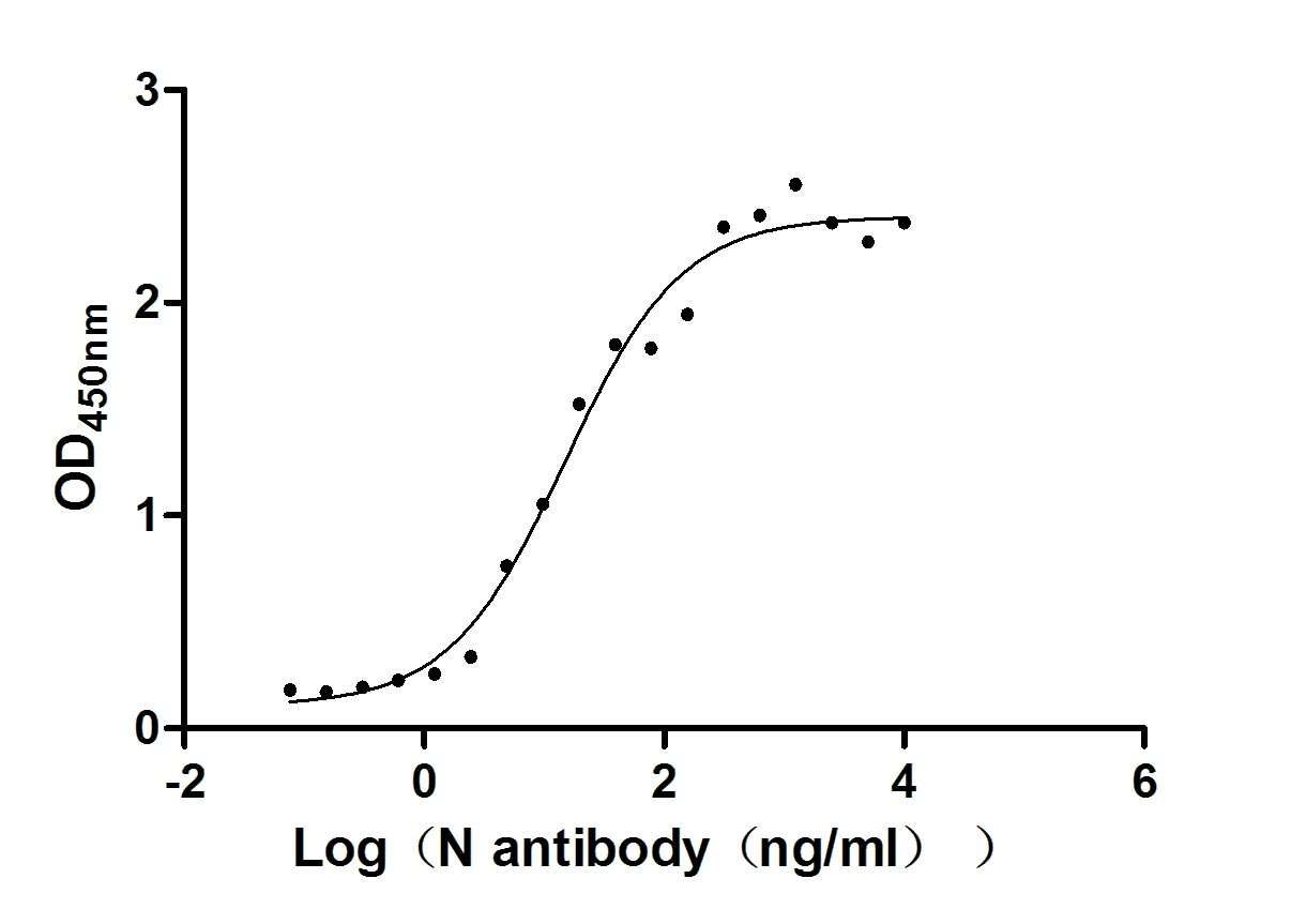 Recombinant Human Novel Coronavirus Nucleoprotein(N)(P80R) (Active)