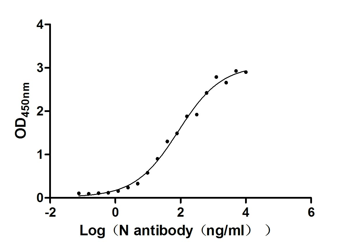 Recombinant Human Novel Coronavirus Nucleoprotein(N)(P80R) (Active)