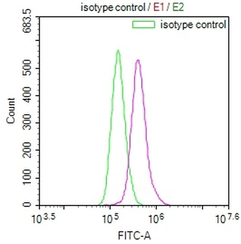 SLC2A3 Antibody