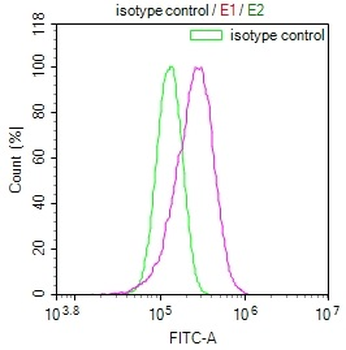 NUDT5 Antibody