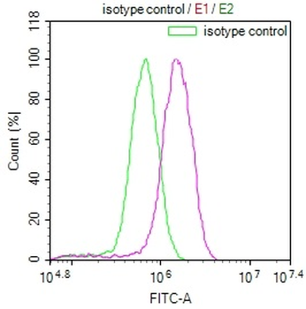 NDUFS4 Antibody