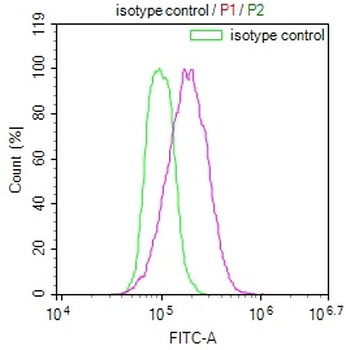 ITGA6 Antibody