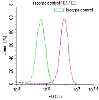 COPS3 Antibody