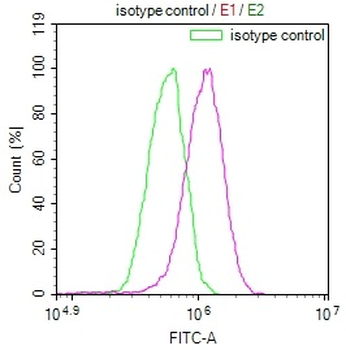 CSN2 Antibody