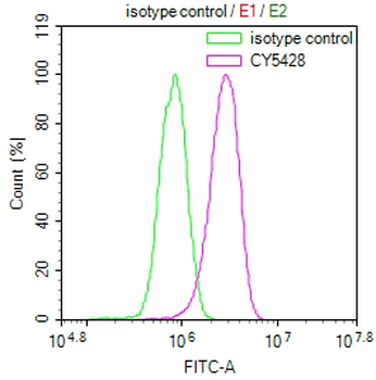 MYLK Antibody