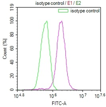 PSME1 Antibody
