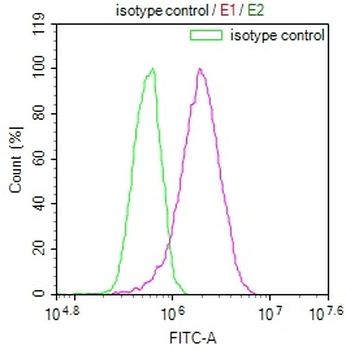 ACO1 Antibody