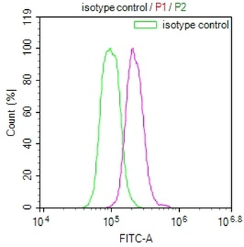 USP22 Antibody