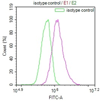 PRDX3 Antibody