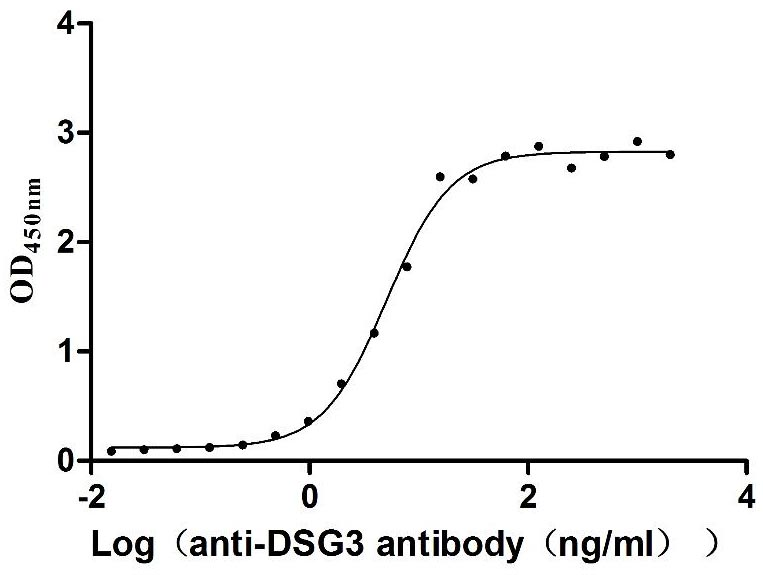 Human DSG3 Protein