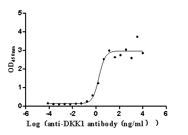 Human DKK1 Protein