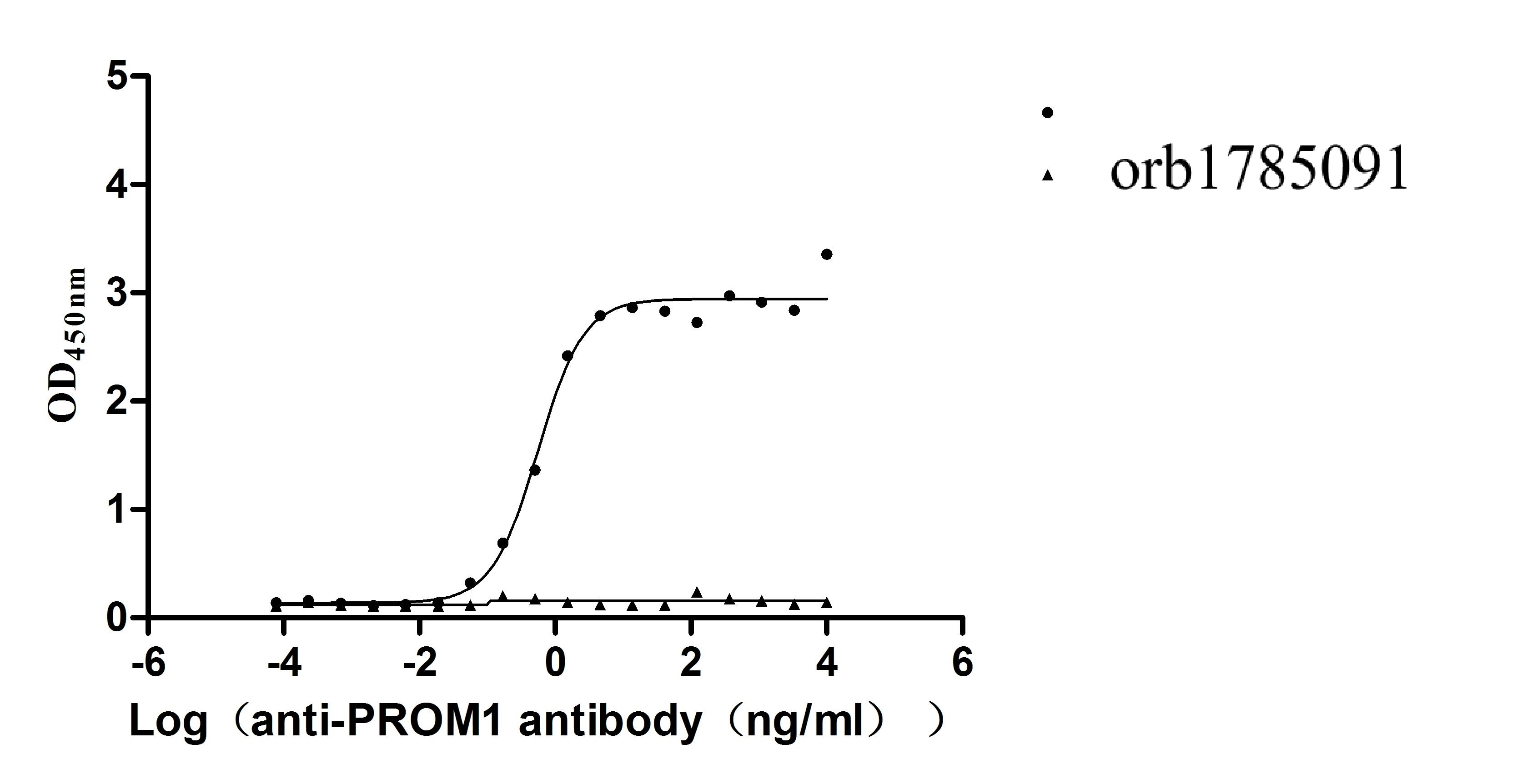 Human PROM1-VLPs Protein