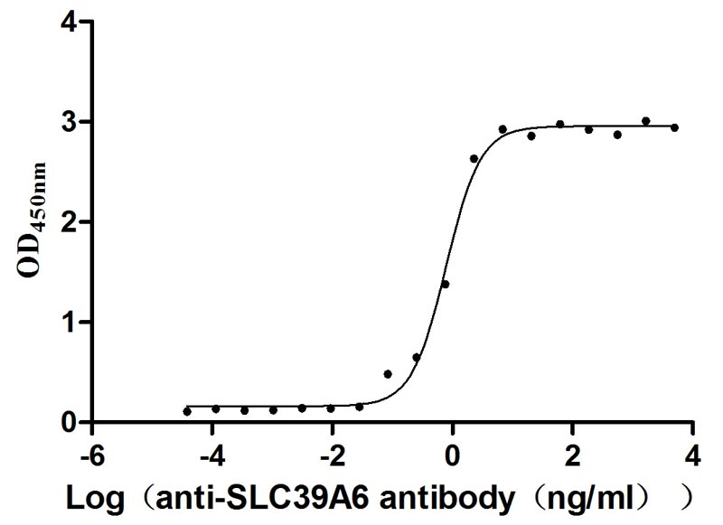 Human SLC39A6 Protein