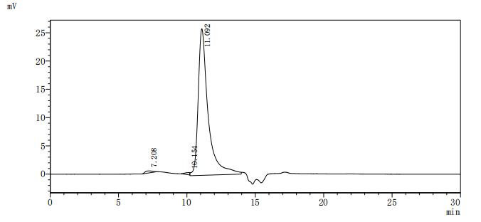 Human ANK3 Protein