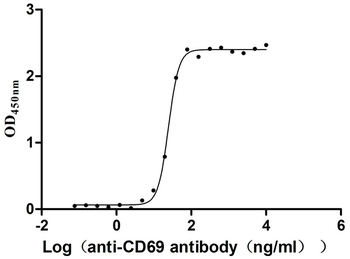 Human CD69 Protein