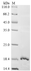 GLYCAM1 Protein