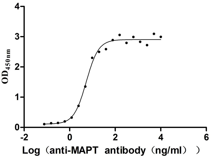 Human MAPT Protein