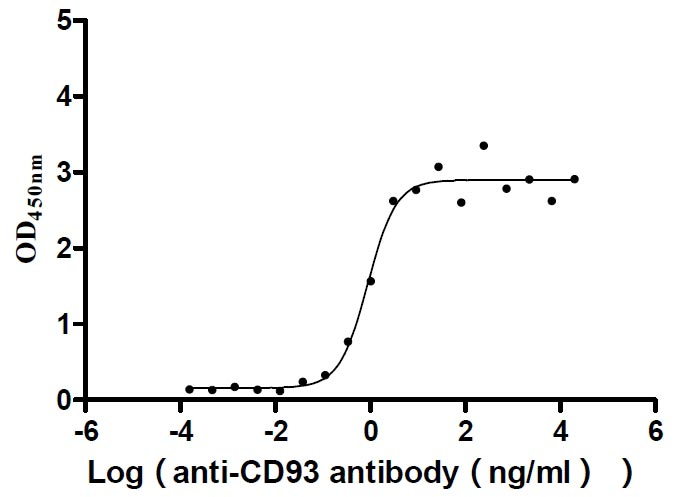 Human CD93 Protein