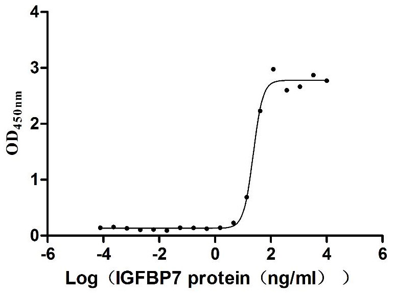 Human CD93 Protein
