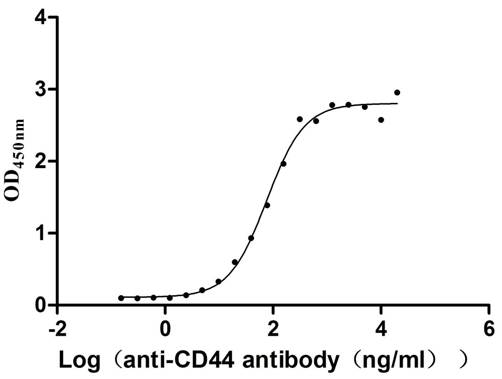 CD44 Protein