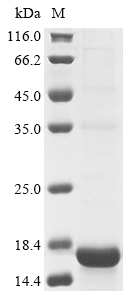 Methanosarcina thermophila Methyl-coenzyme M reductase subunit alpha Protein