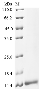 Medicago truncatula Carbohydrate-binding module family Protein