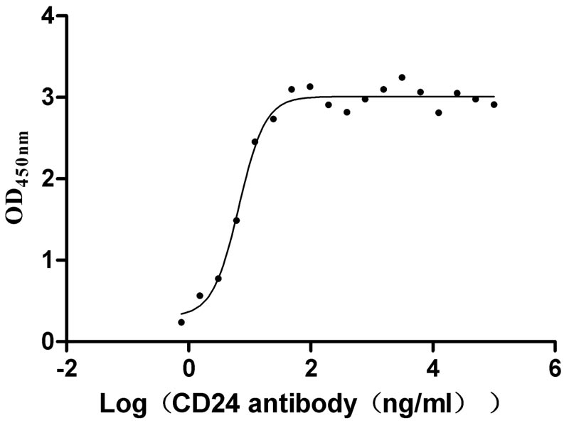 Human CD24-Nanoparticle Protein