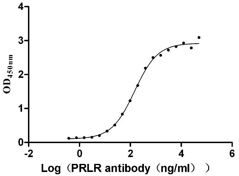 Human PRLR Protein