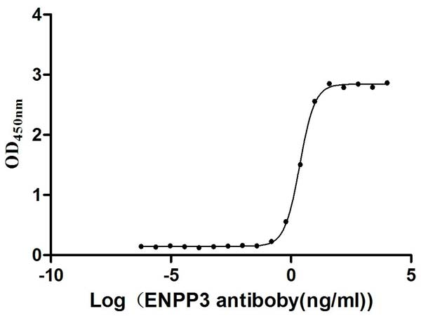 Human ENPP3 Protein