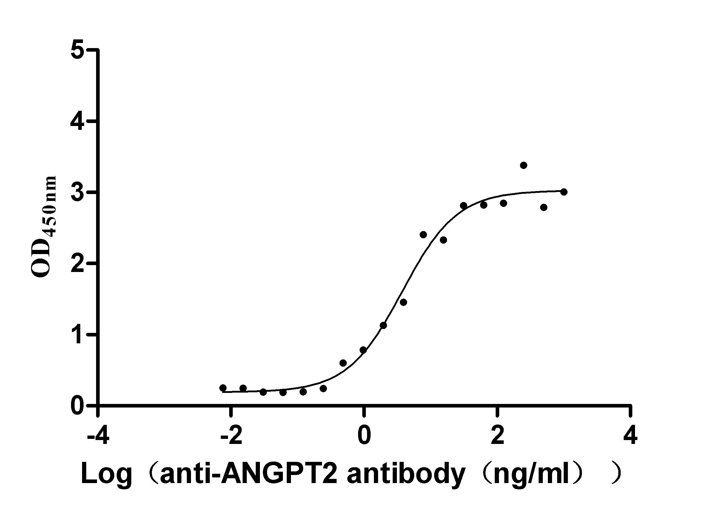 ANGPT2 Protein