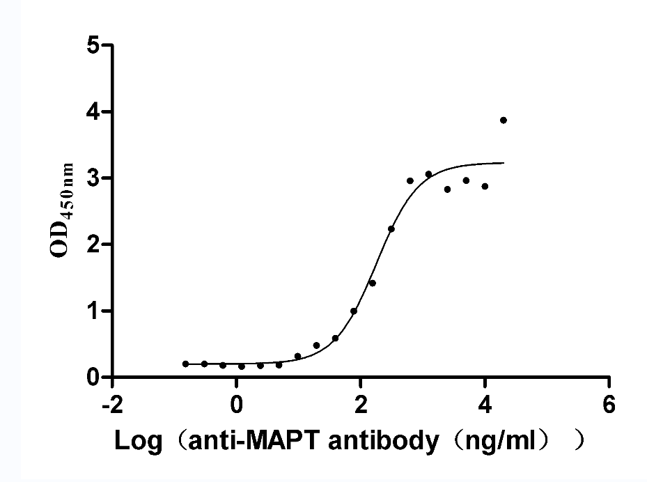Rat Mapt Protein