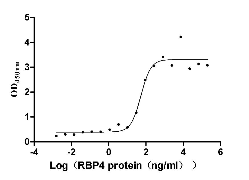 Mouse Rbp4 Protein