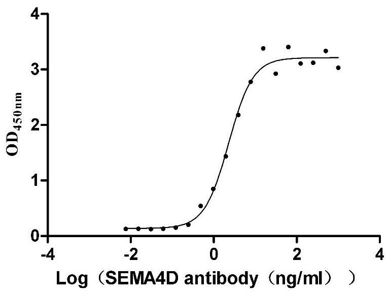 EGK_07847 Protein