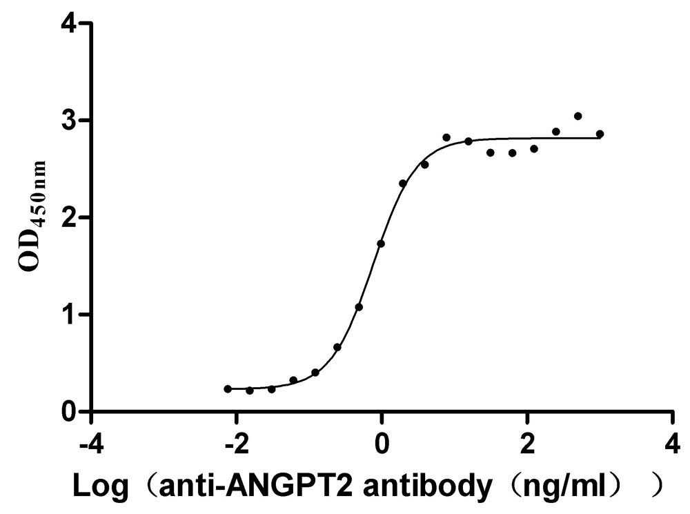 Human ANGPT2 Protein
