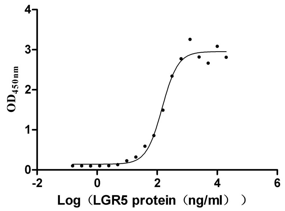 Human RSPO1 Protein