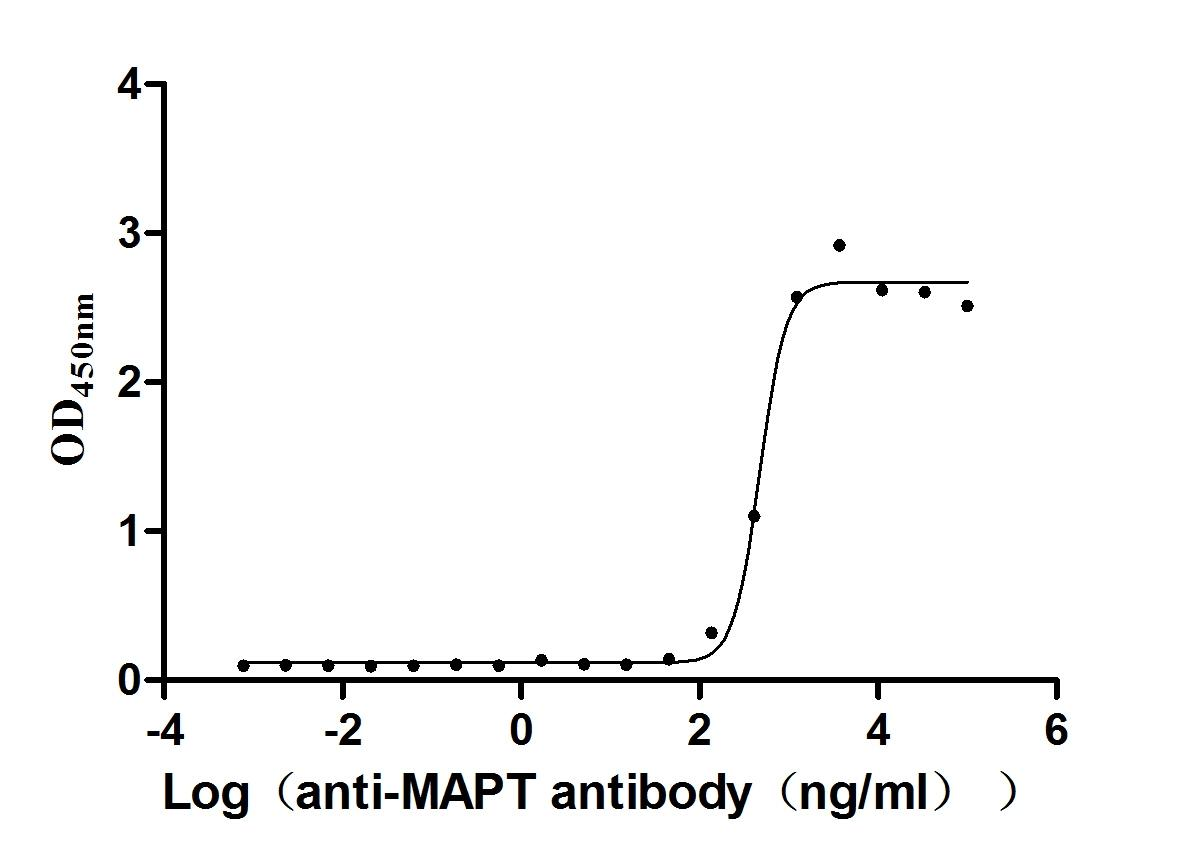 Mouse Mapt Protein
