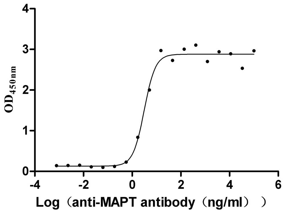 MAPT Protein