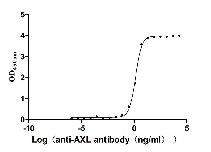 Human AXL Protein