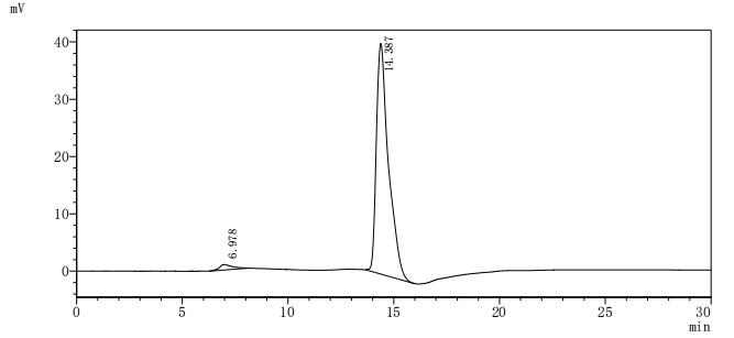 Human WRN Protein