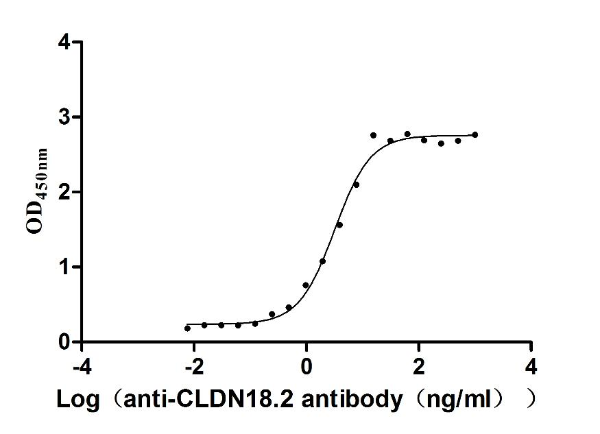 CLDN18-VLPs Protein