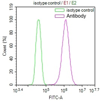 GSTM3 Antibody