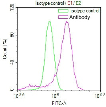 PRDX3 Antibody