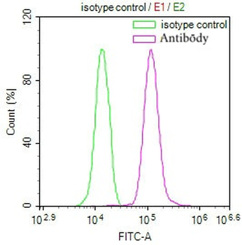 PRDX3 Antibody